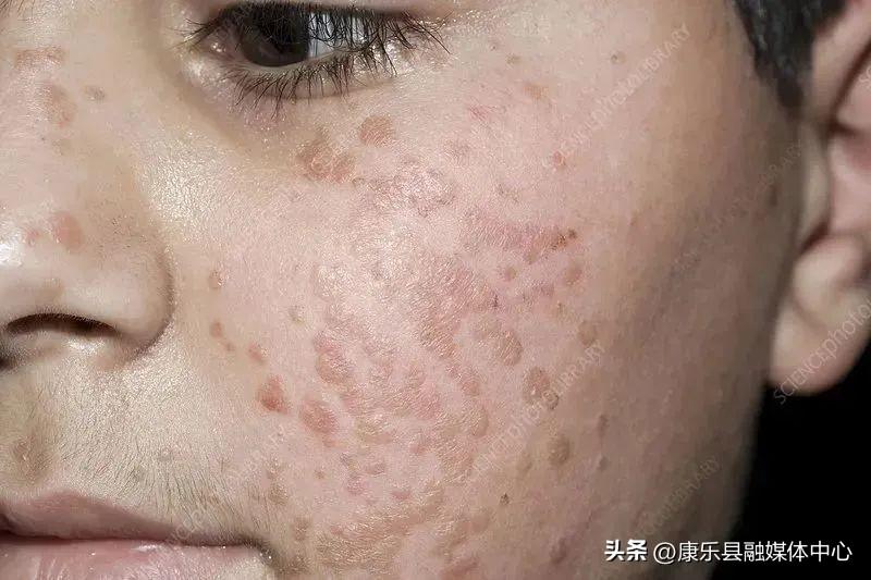 娱乐生活 第259页