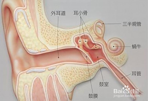 港澳新闻 第4页